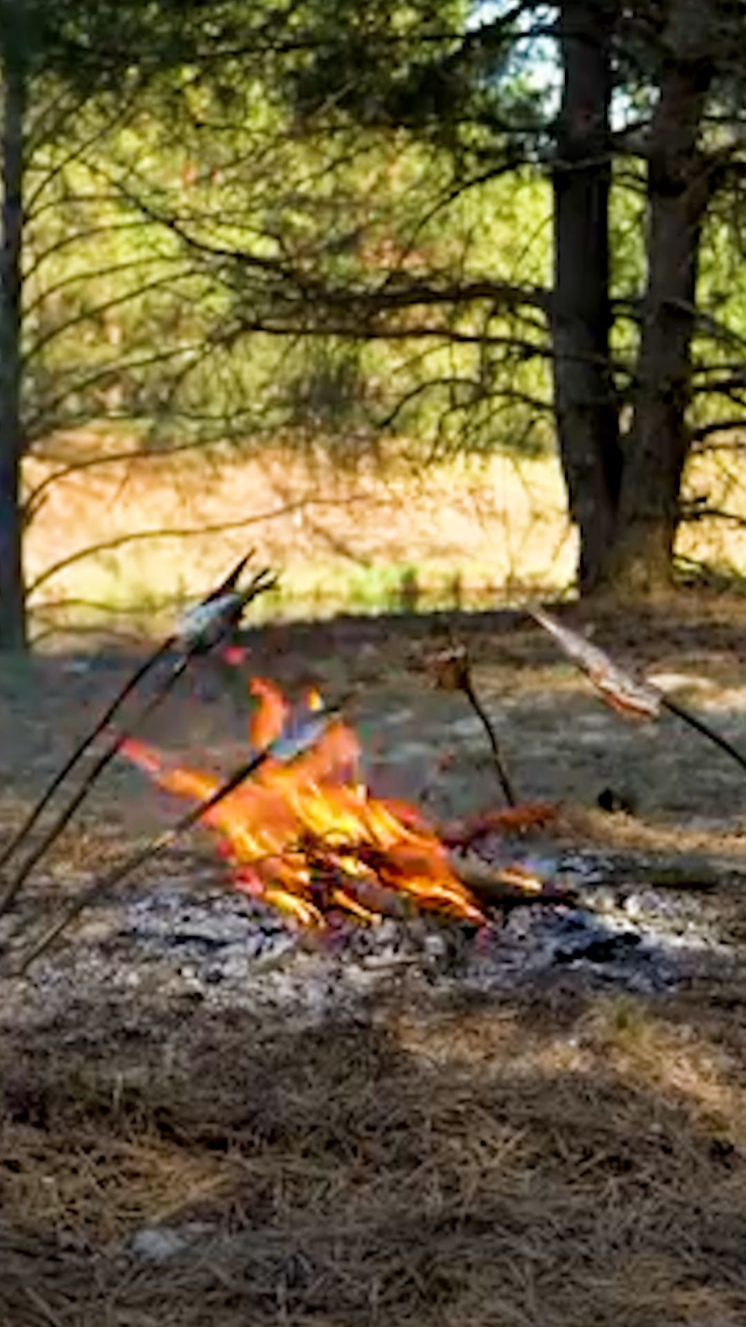 Готовлю свежевыловленную рыбу на костре