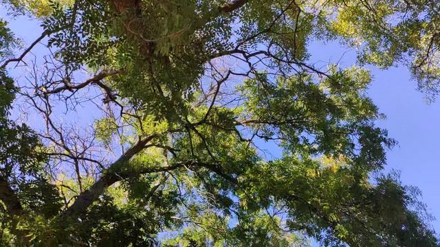 Один из дней города Евпатории | 27 сентября 2021 г | Крым ХАН БАТОН XAH 6ATOH | VID_20210927_151404