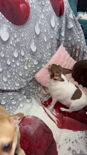 И так бывает.