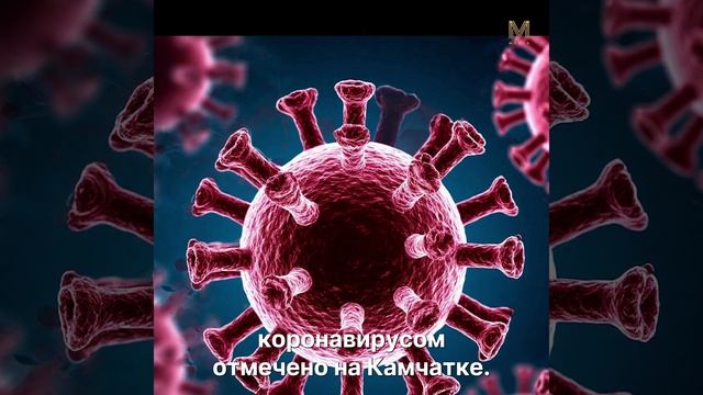 ГЛАВНОЕ ЗА МИНУТУ | 16.04.26 #камчатка #новости