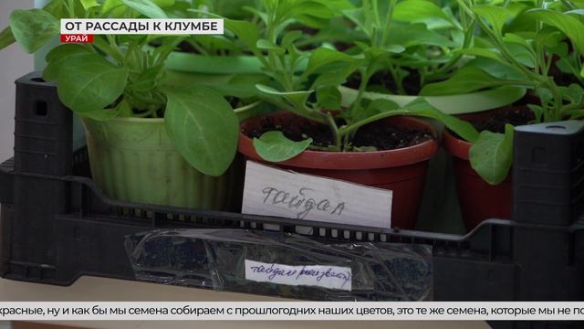 Подготовка к конкурсу Цветочная палитра 15-04-2026