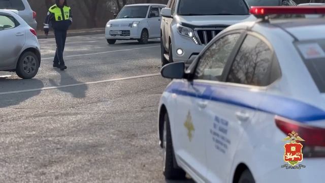 В Хакасии стартовал рейд по тонировке: выявлено 106 нарушений