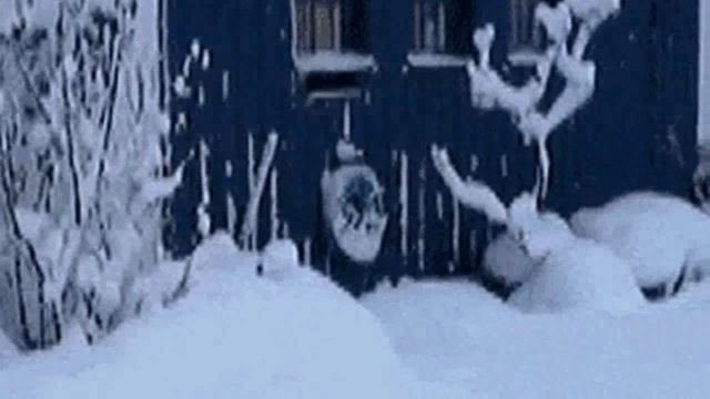 Вдвоём мы взаперти