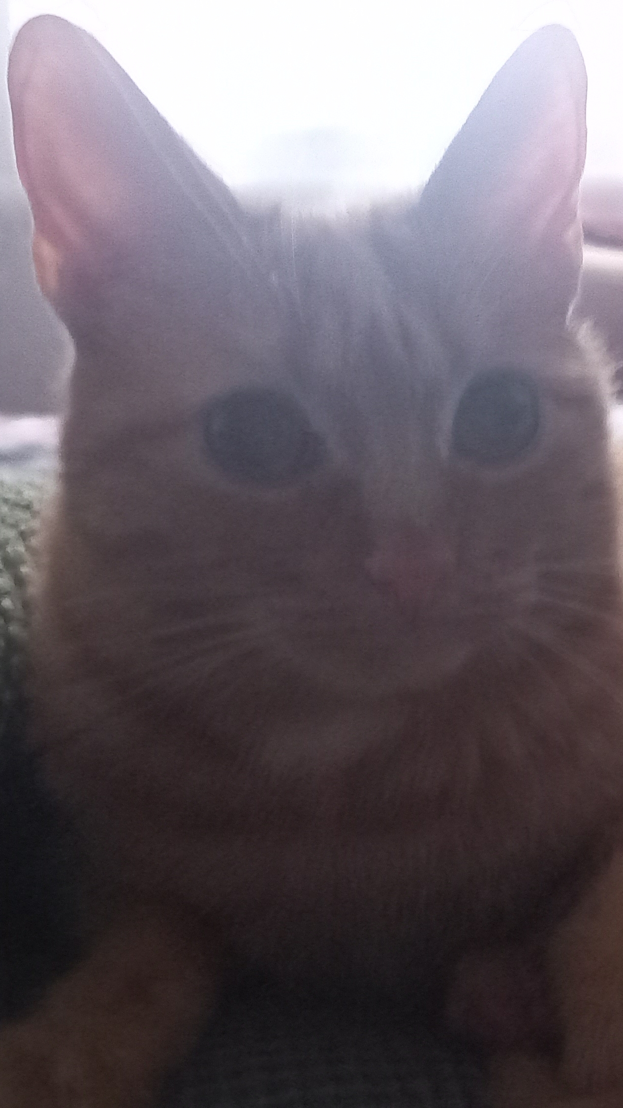 скоро взлетит