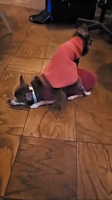 Такой концовки я и сам не ожидал (274)