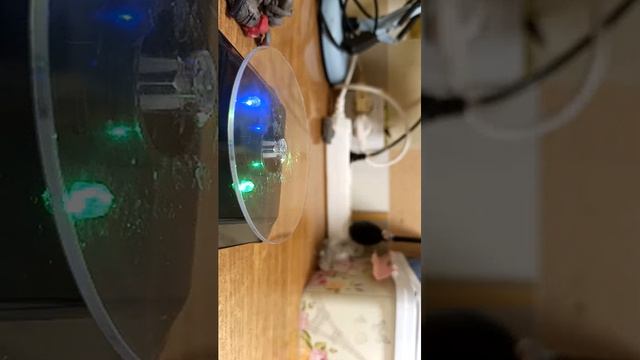 показываю всех персонажей из пластилина 1 часть.