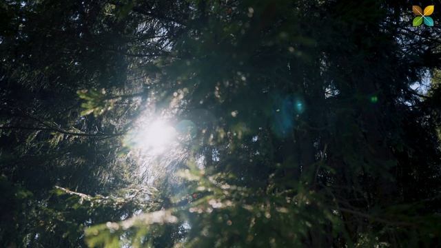 Коттеджный посёлок Арнеево-Парк