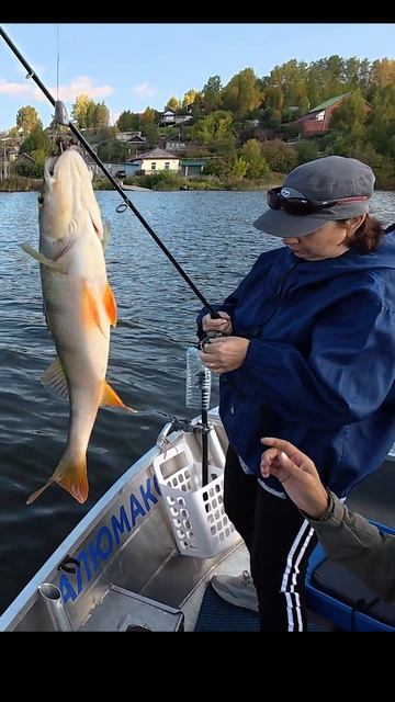 6e51e504e045e8bd59df3ea536a18121