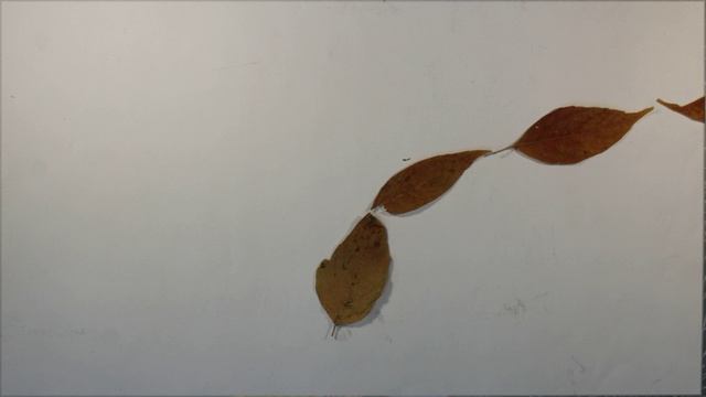 ОТКРЫТКА НА 1 ОКТЯБРЯ