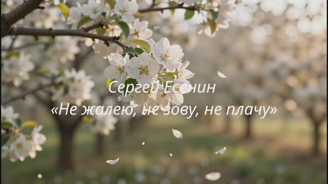 Сергей Есенин — «Не жалею, не зову, не плачу»