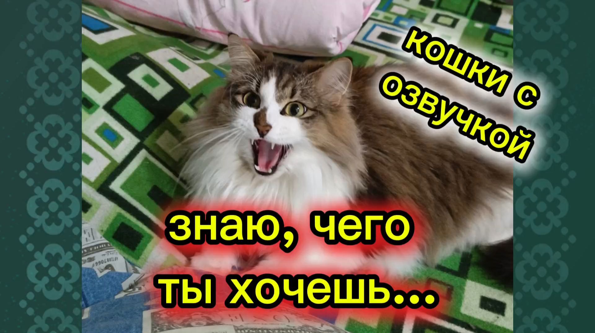 КОШКИ С ОЗВУЧКОЙ.