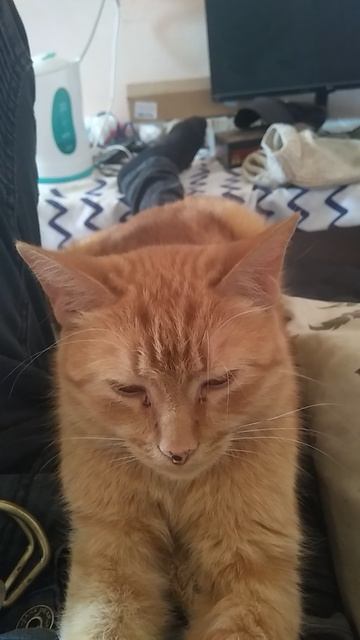 Египтянин)))