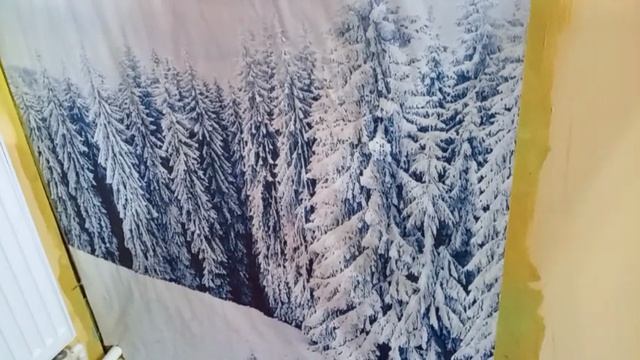 Наклеила фотообои 3D, волчица и волк.