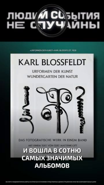 Бехеры. Дюссельдорфская школа фотографии