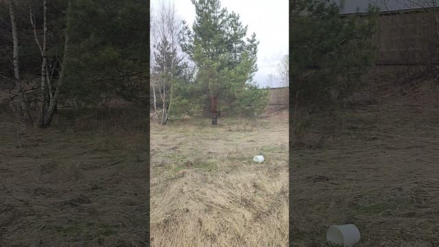 2) Обухово пгт., тер.Ленинская, Богородский г.о., 3000 м2, осмотр 16.04.2026