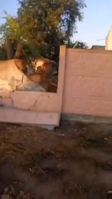 Видео от Департамент Кринжовых Видосов | ДКВ