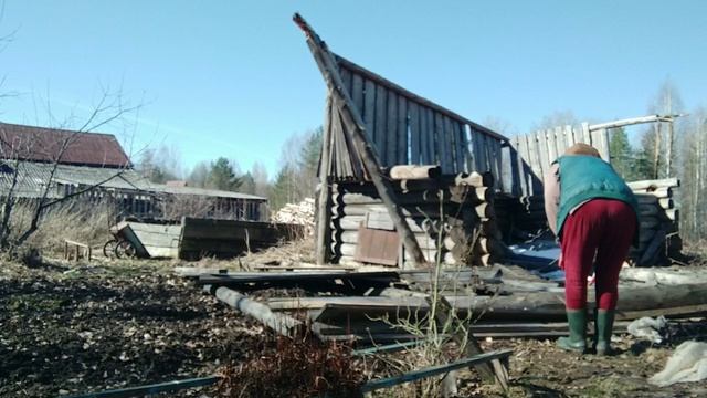 Проблемы на хуторе после зимы. Разбираю завалы.