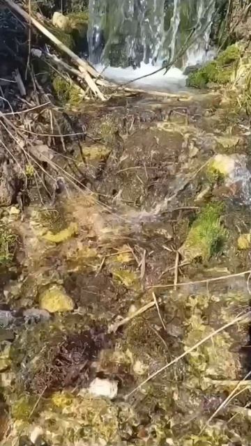 Чишмә чистарту