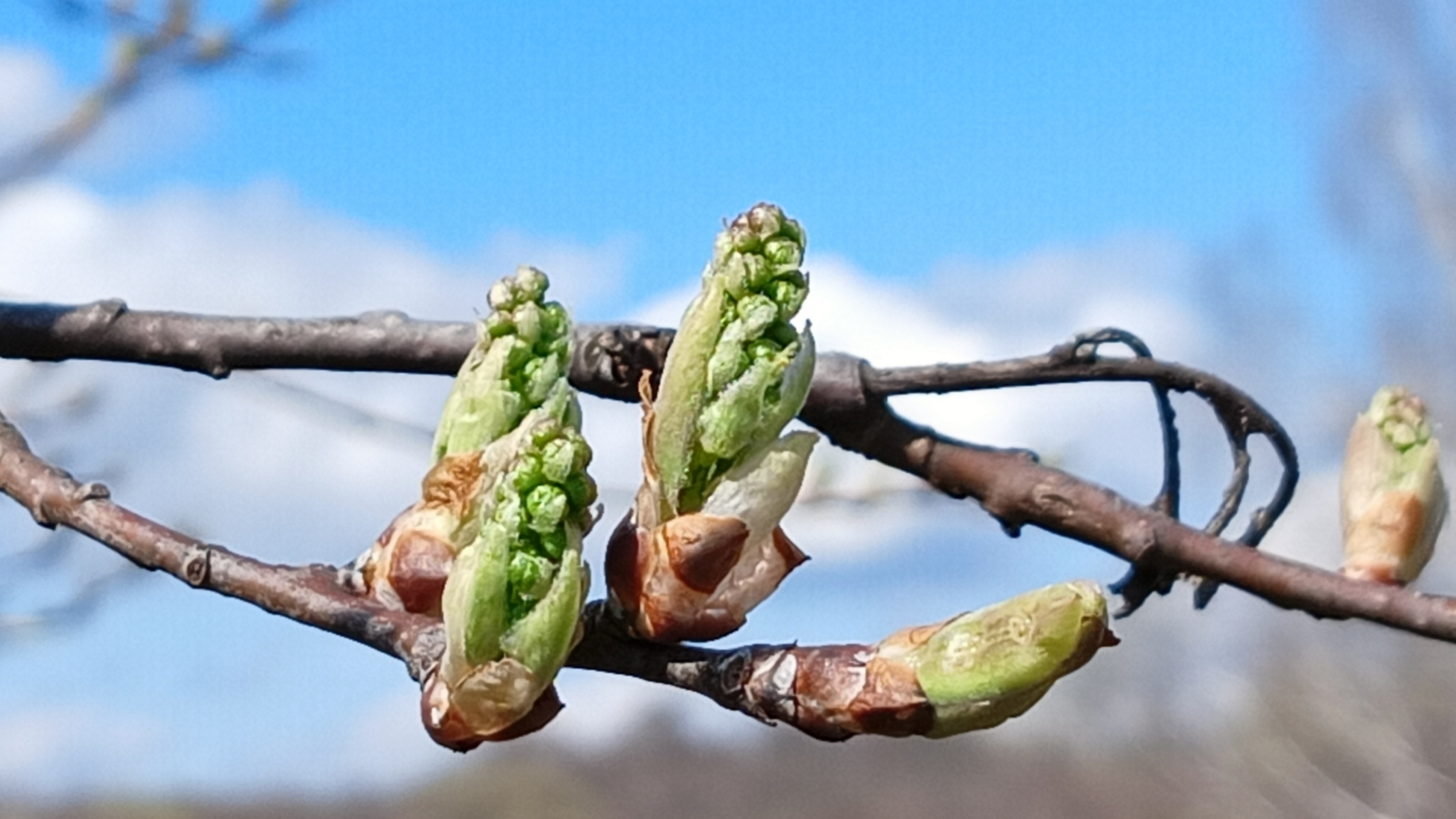 C10b24928b9d732514c89d5e2dd4decf