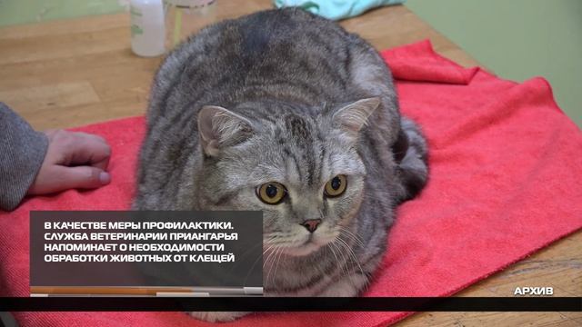 В качестве меры профилактики 15-04-2026