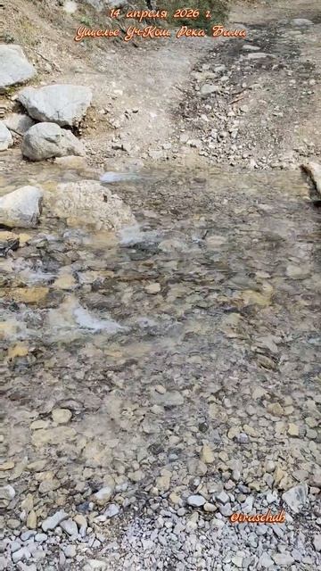 14 апреля 2026 г. Ущелье Уч-Кош. Река Бала #ялта #ялта2026 #учкош #бала