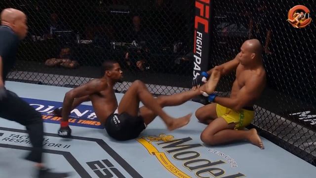 Топ 10 самых редких нокаутов в истории UFC.