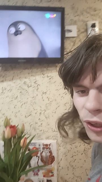 Я смотрю тюленьки