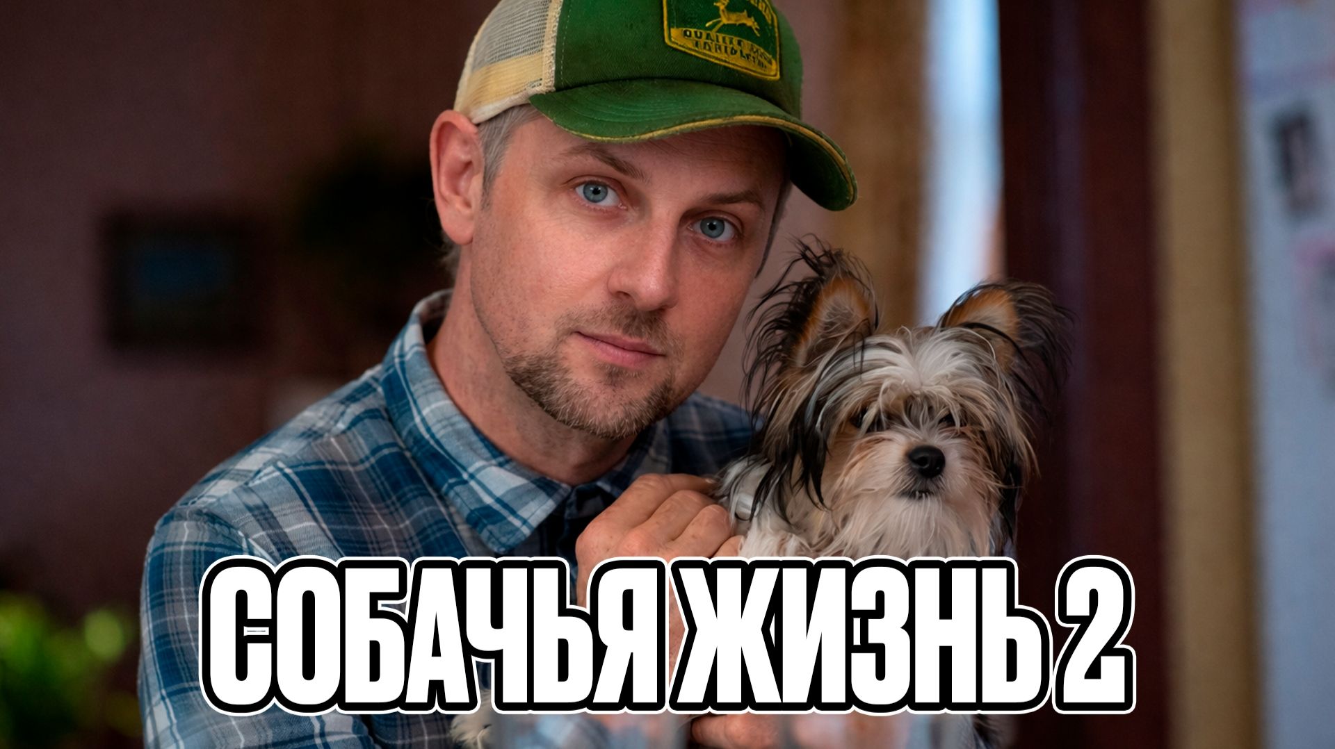 Зубарев смотрит 