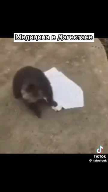 Медицина в Дагестане