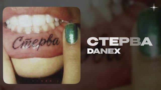 DANEX — Стерва (official Audio)