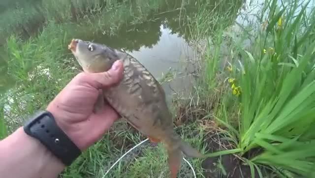 D45e005748e15f07aef5cfc61181e655