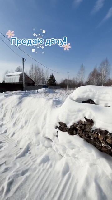 Video_2026-03-17_13-01-46