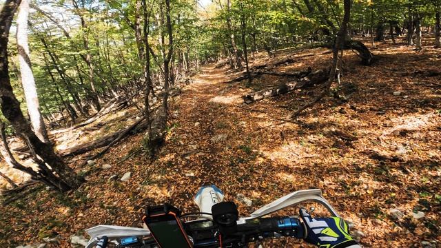 КРЫМСКИЙ ВЕТЕР - Женский вокал