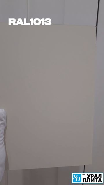 RAL1013