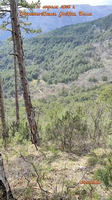 14 апреля 2026 г. Хребет Баланын-Каясы,ущелье Уч-Кош,река Бала #ялта #ялта2026 #баланынкаясы #учкош