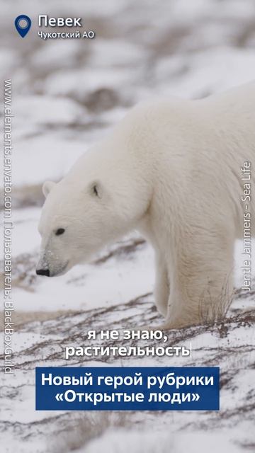 В суровые морозы и полярные ночи наш герой из Певека развлекает себя и жителей, играя на баяне