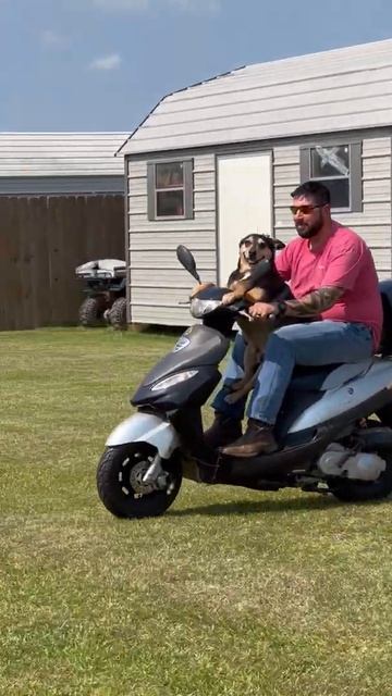 Такой концовки я и сам не ожидал (276)