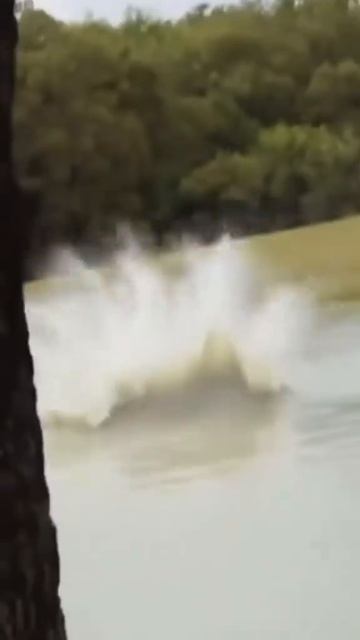 Прокатилась на горках