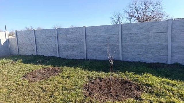 F8bf9b5bb56ffa8e95d960758242459c