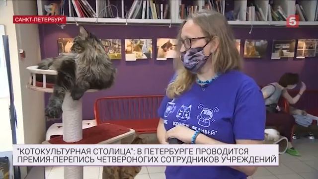 5 канал  Новости  «Делать мир белее и пушистее»