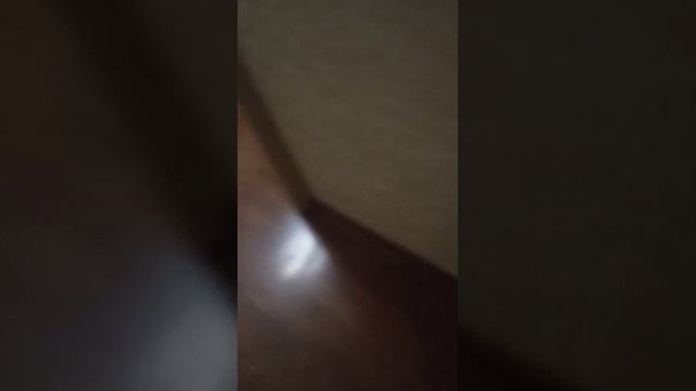 Моё размещение 🍿