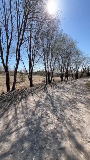 Участок Вязьмино