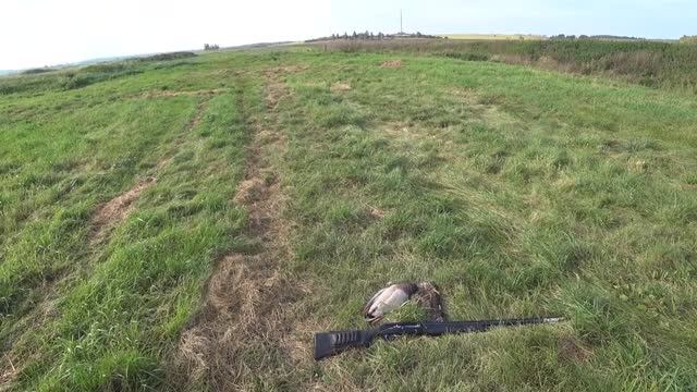 ОХОТА НА УТКУ С ПОДХОДА