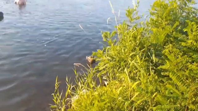 На озере за Краснодаром.mp4