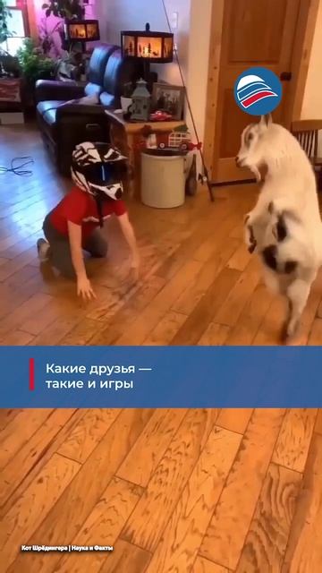 Какие друзья — такие и игры