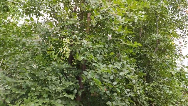 Один из дней города Евпатории | 23 сентября 2021 г | Крым ХАН БАТОН XAH 6ATOH | VID_20210923_145533