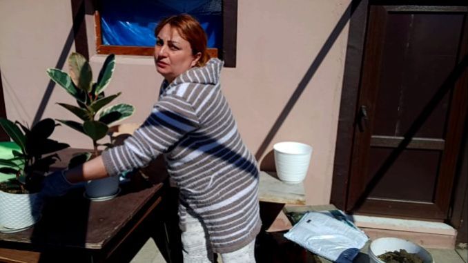 Наконец - то Пересаживаю Цветы /Пашем Огород /Разбираю Грядки /