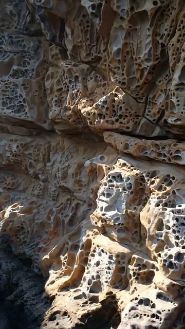 VID_20260416_140042_421.mp4