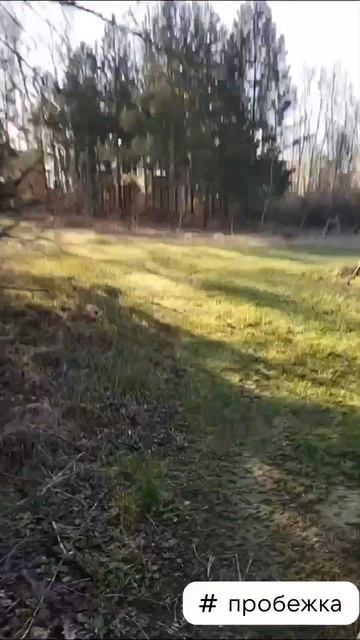 #пробежка #добрыедвижения #волшебник #экстрасенс #алексейнадажить