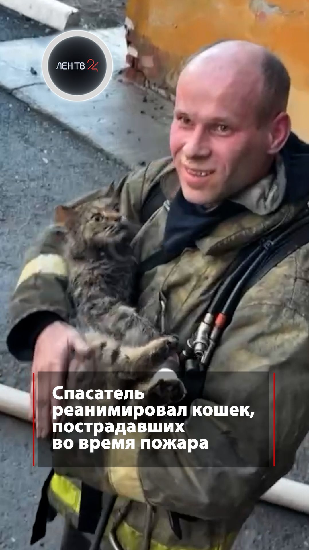 Спас не только людей, но и кошек